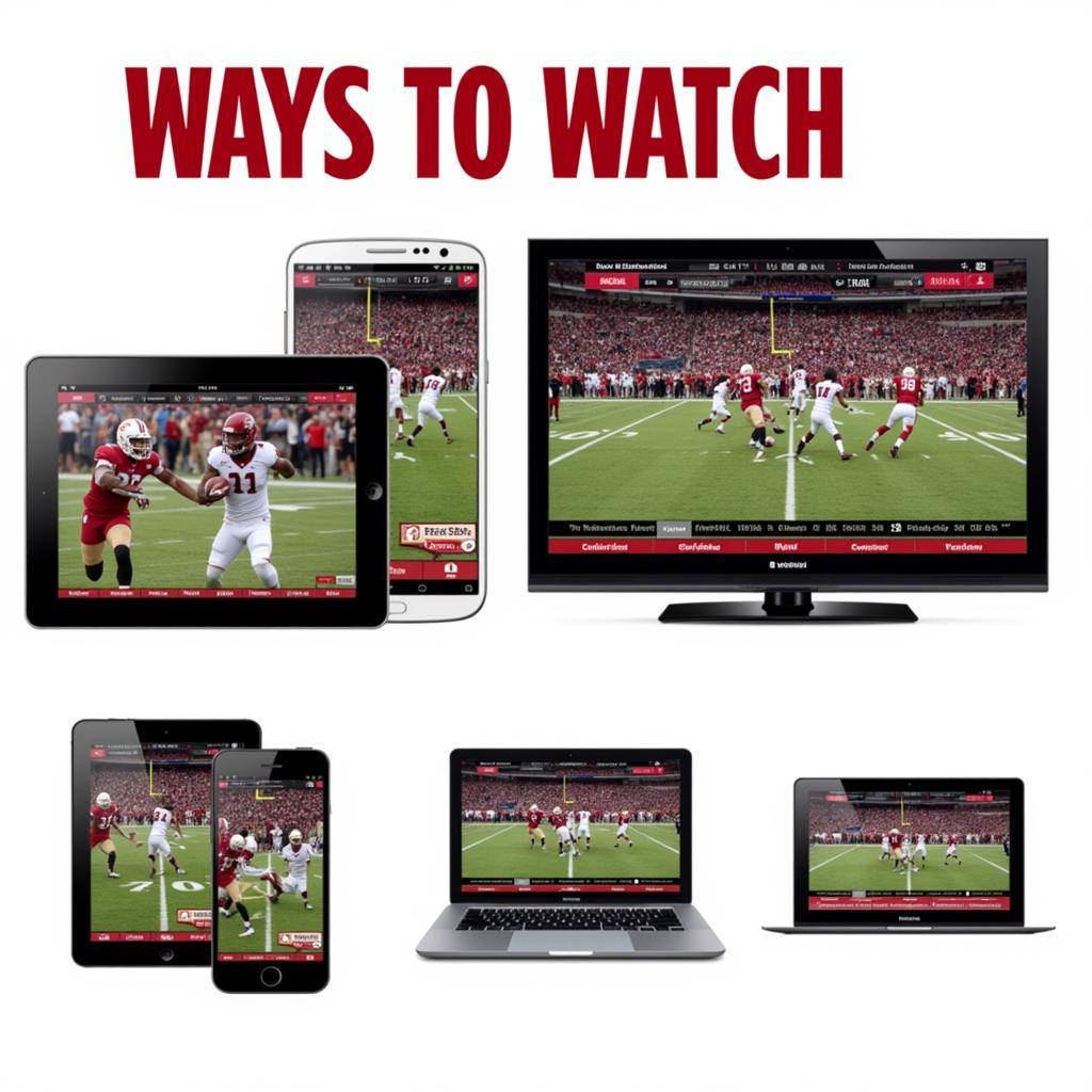 Fans watching Ferris State football on various devices - phone, tablet, laptop, and TV - highlighting the different ways to access live streams.