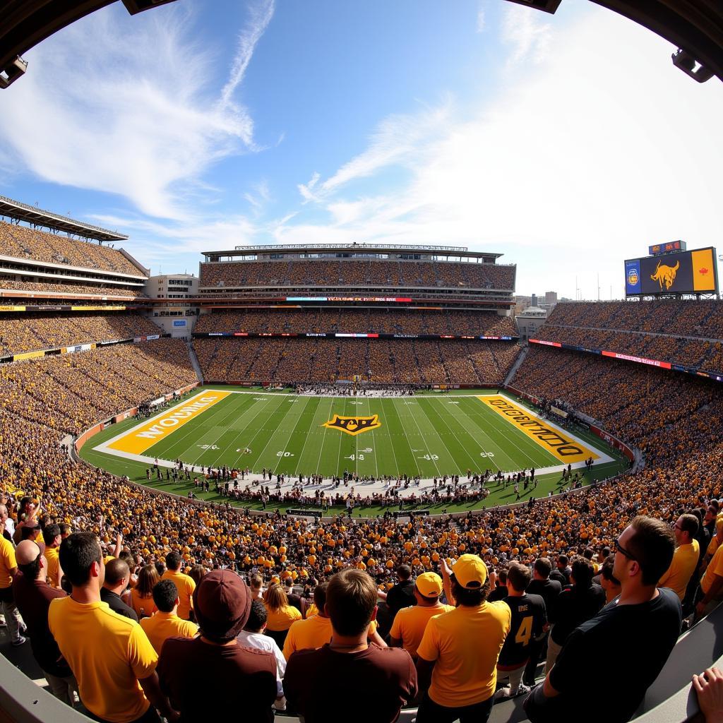 Wyoming Cowboys Fans Cheering in Stadium