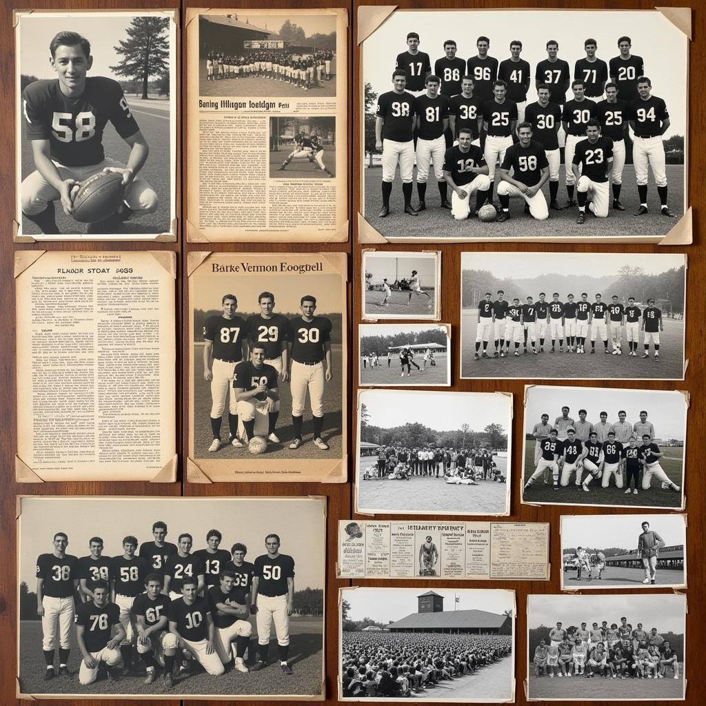 Belle Vernon High School Football History