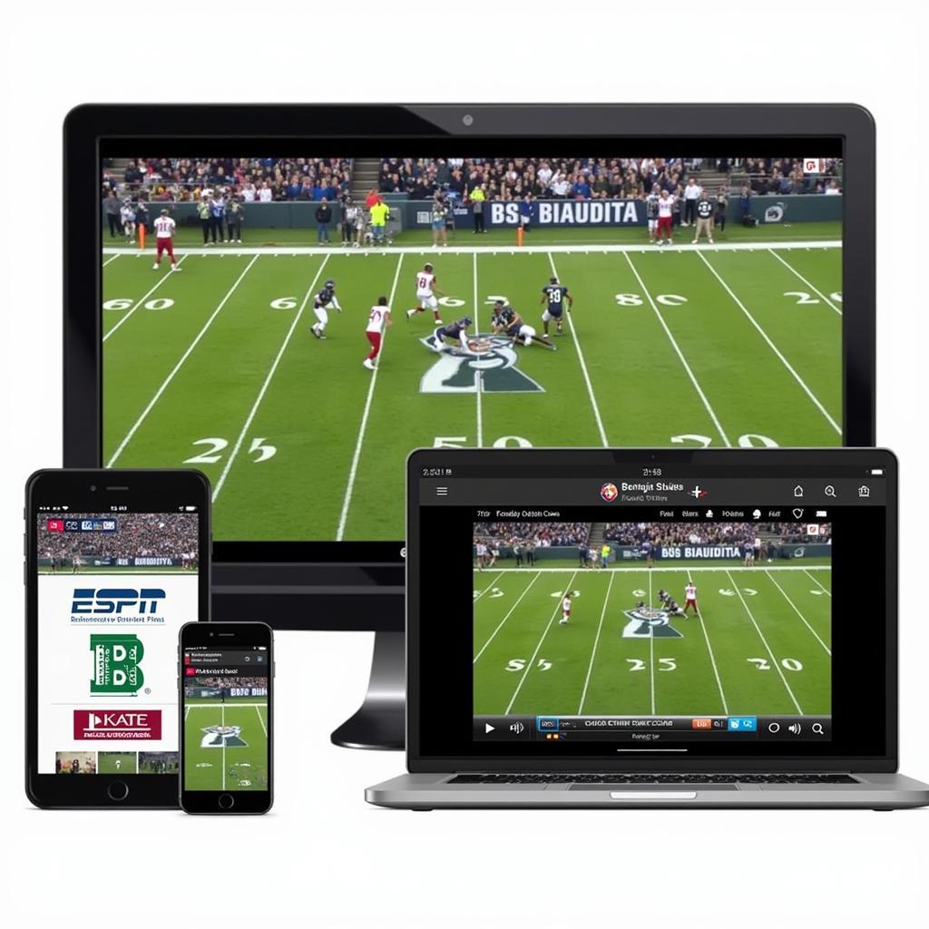 Bemidji State Football Live Stream Options