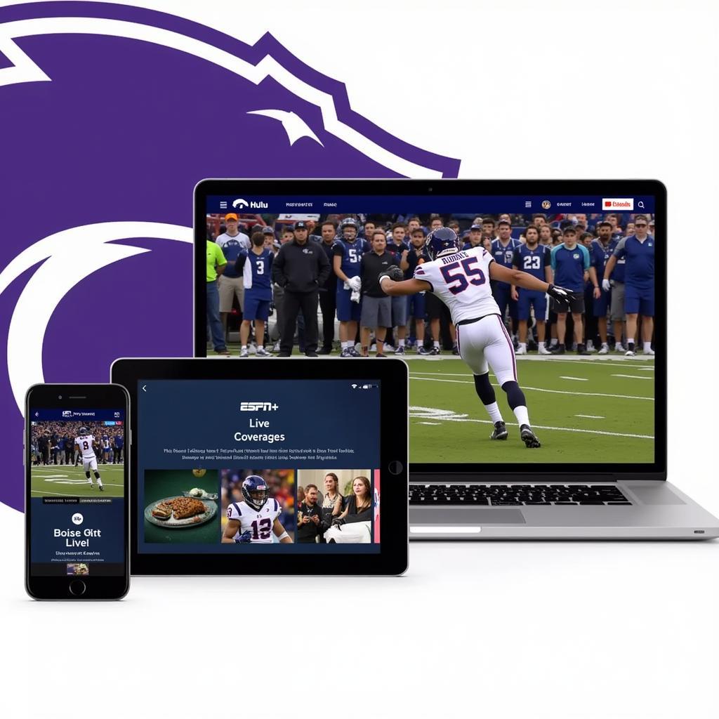 Boise State Football Live Streaming Options