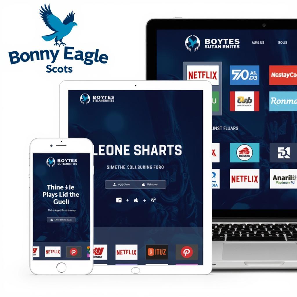 Bonny Eagle Football Live Streaming Options