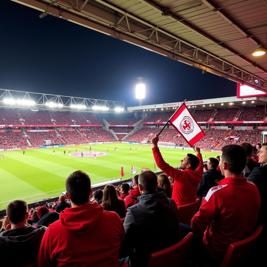 Bristol City fans at Ashton Gate