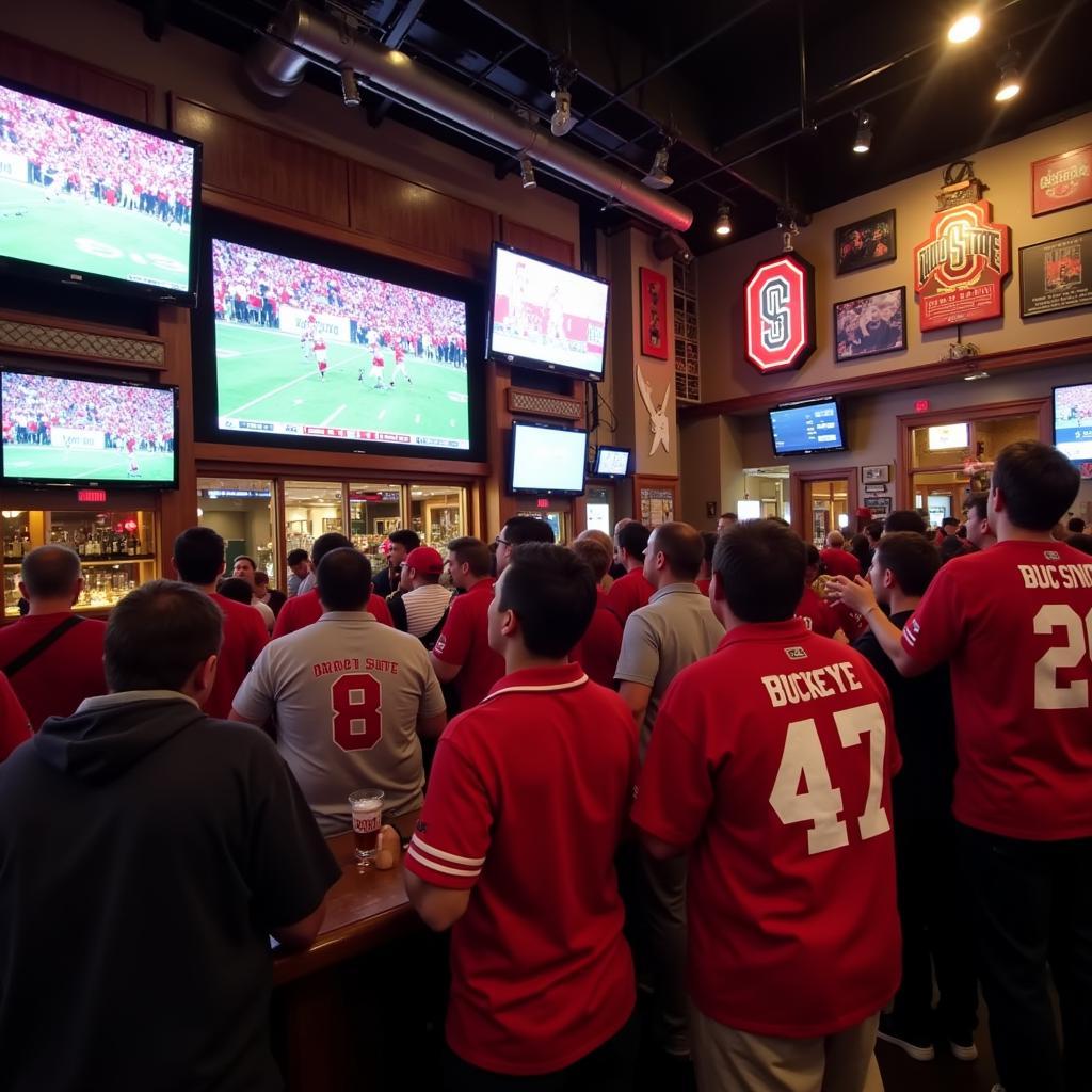 Buckeye Fans Watching Game at Bar