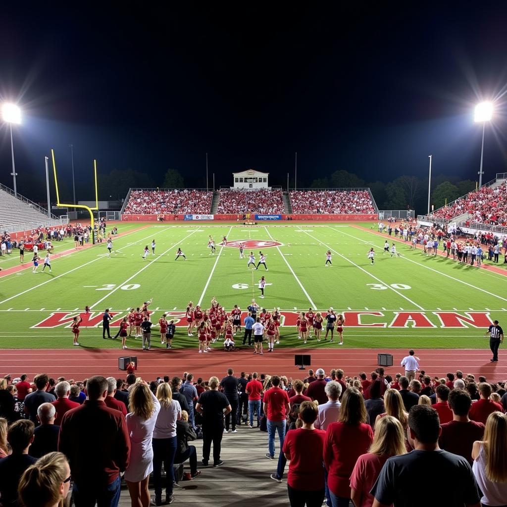 Carthage High School Football Game Action