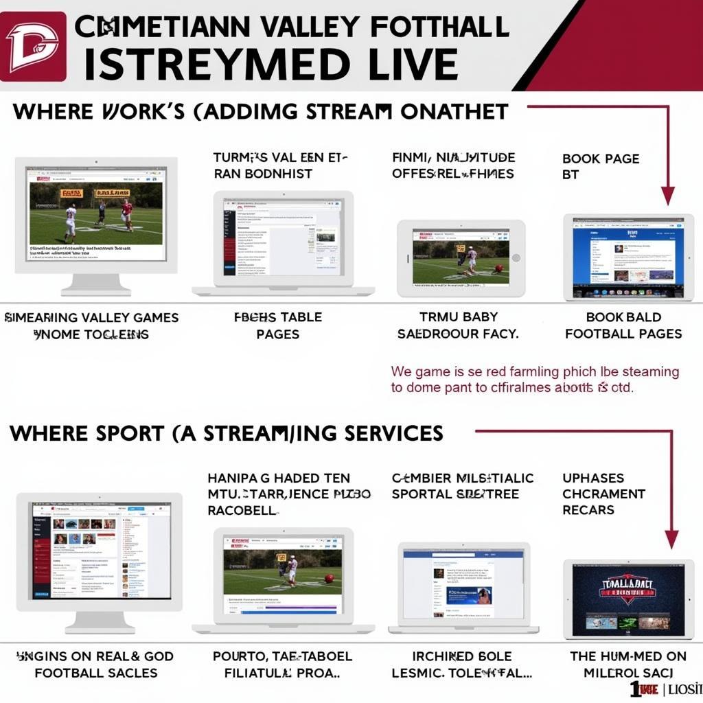 Cumberland Valley Football Live Streaming Platforms