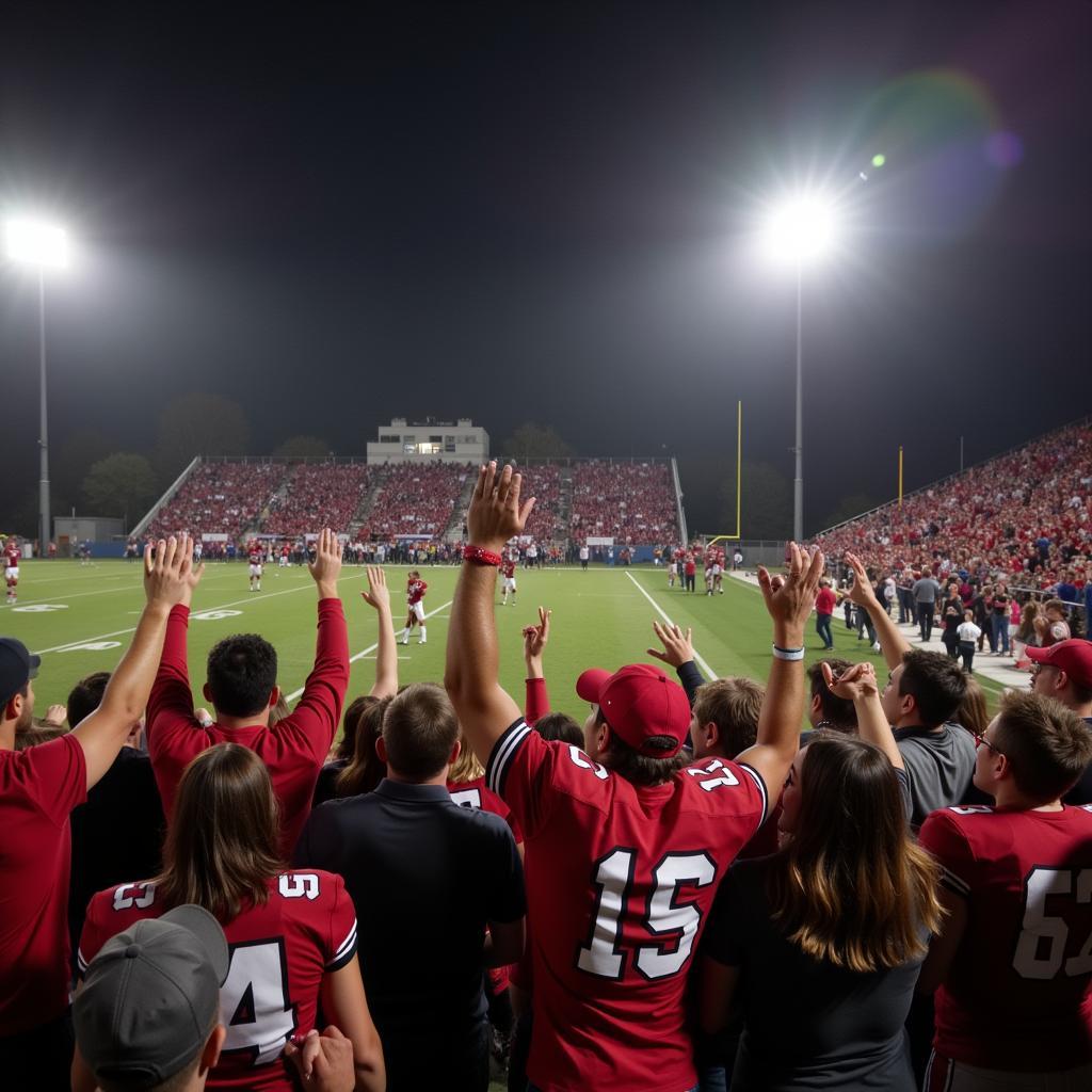 Danville Football Rivalry: Fans Cheering