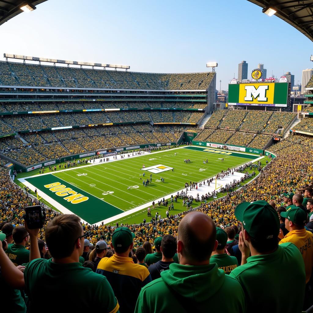 Ducks Football Live Stadium Atmosphere