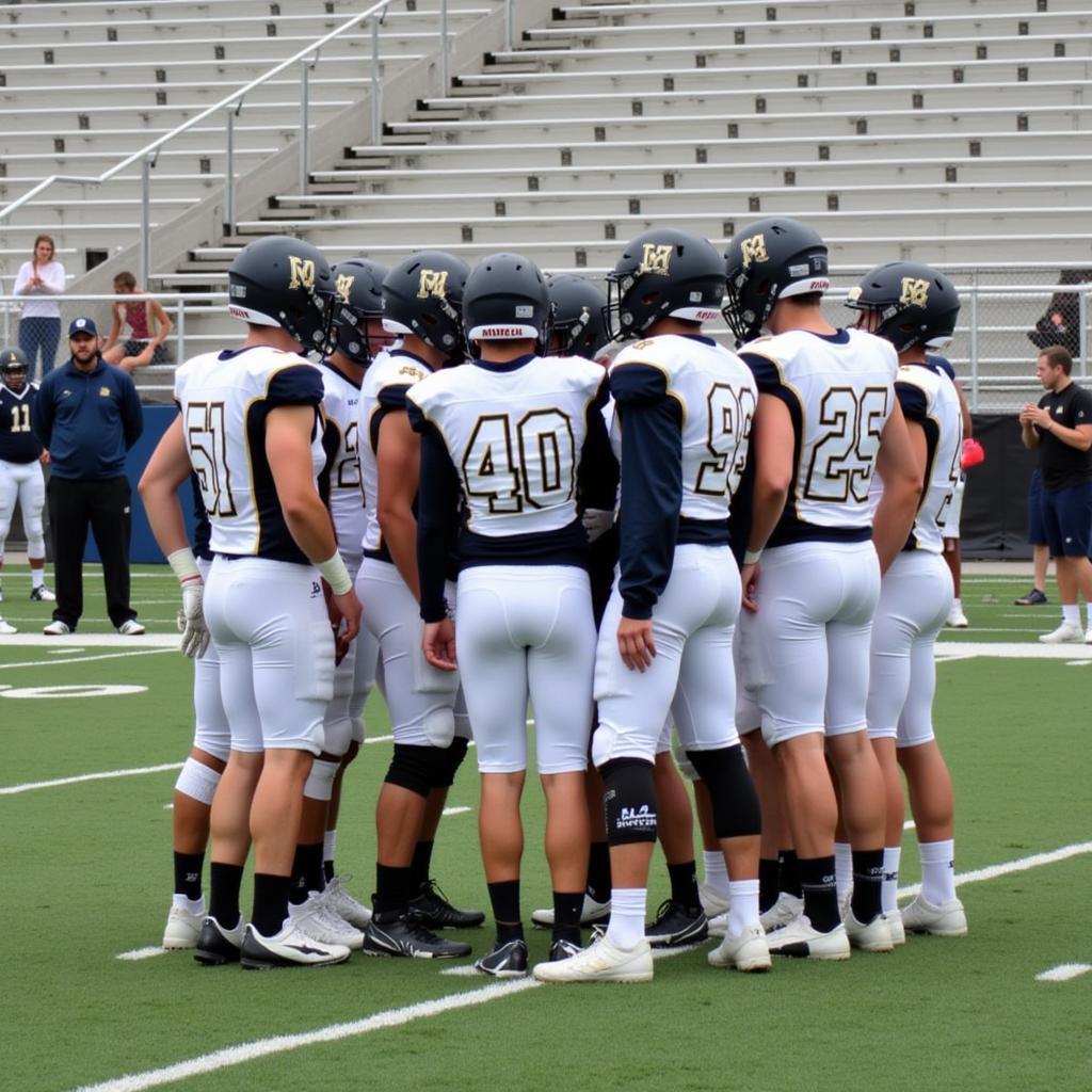 Eau Claire Memorial Football Players on the Field