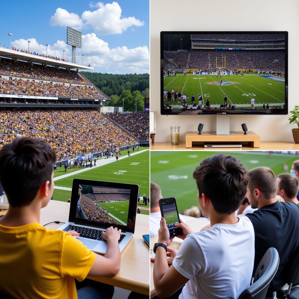 Ferrum Football Live Stream Options: Collage showcasing different ways to watch a Ferrum football game live, including in-stadium attendance, online streaming on a laptop, and watching on a mobile phone via a sports app.