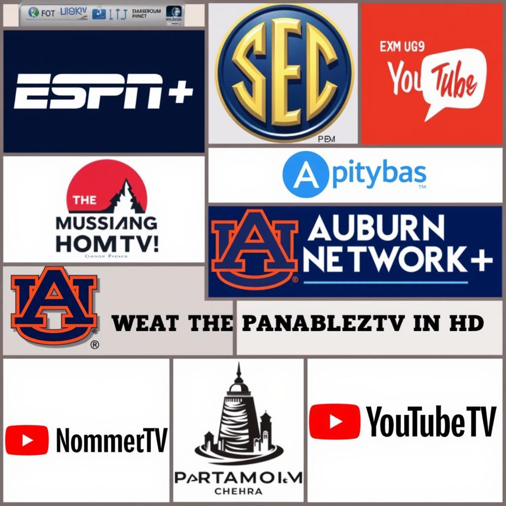 Legal Auburn Football Streaming Platforms