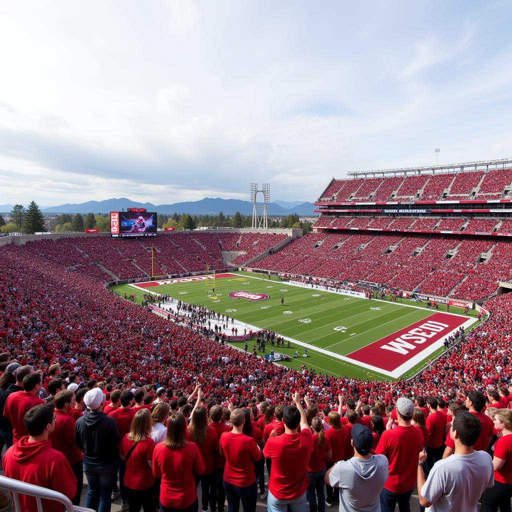 Martin Stadium Game Day Experience