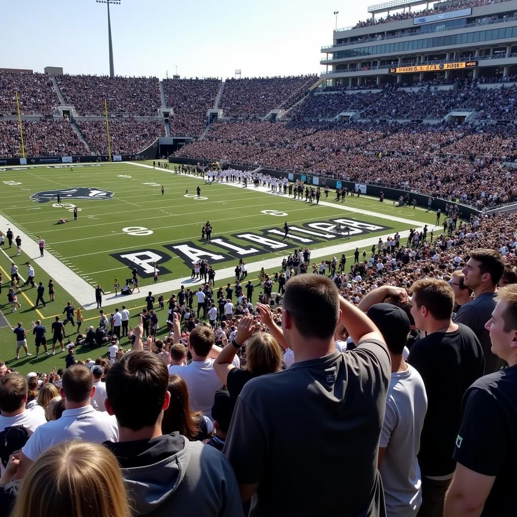 Permian Panthers Fans Cheering in the Stands