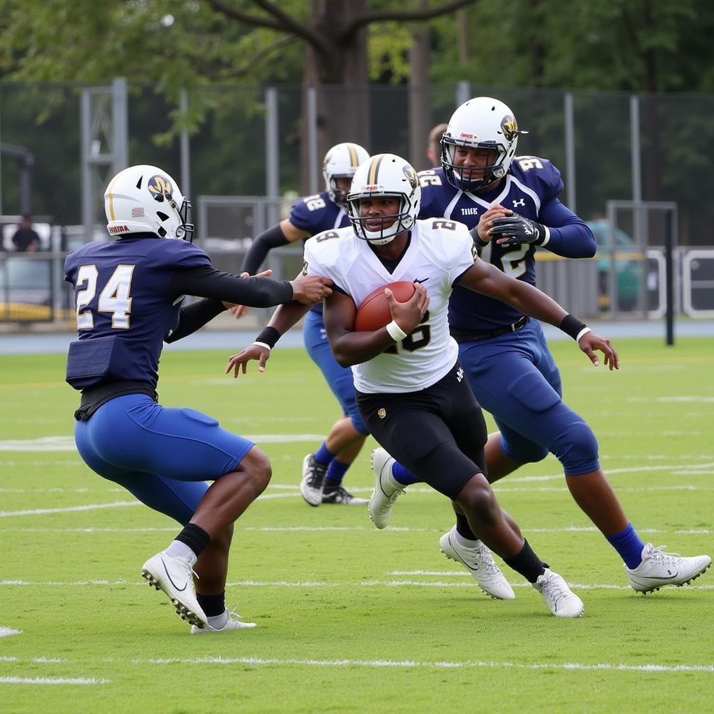 Pierce County High School Football Game