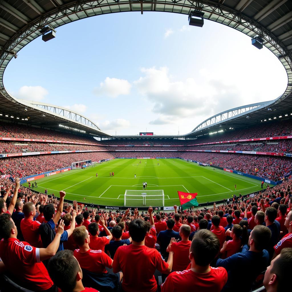 Crowd Cheering at a Football Stadium