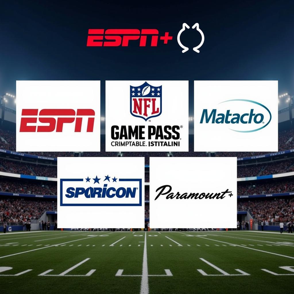 Streaming Platforms for American Football