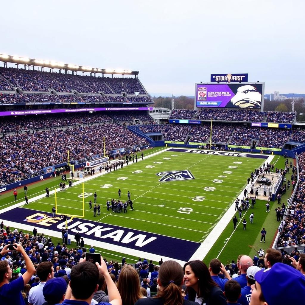 UW Husky Football Live Game at Husky Stadium