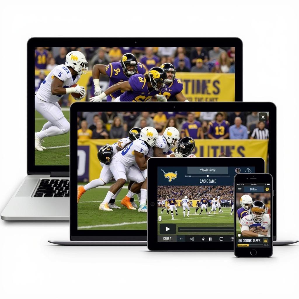 Wyoming Cowboys Football Game Live Streaming Options